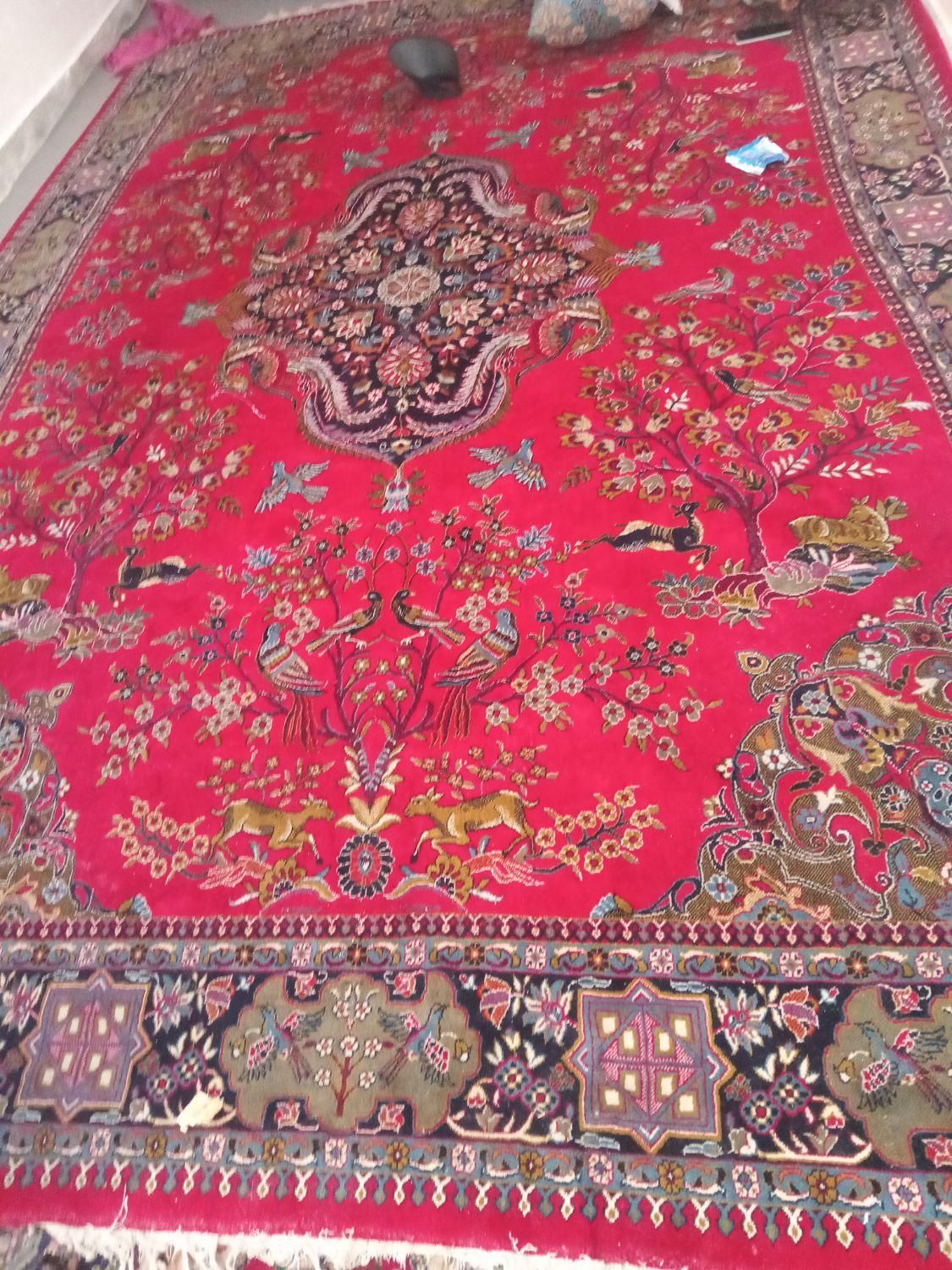 برا زیر فرش خوب|فرش|کوهسار (البرز), |دیوار