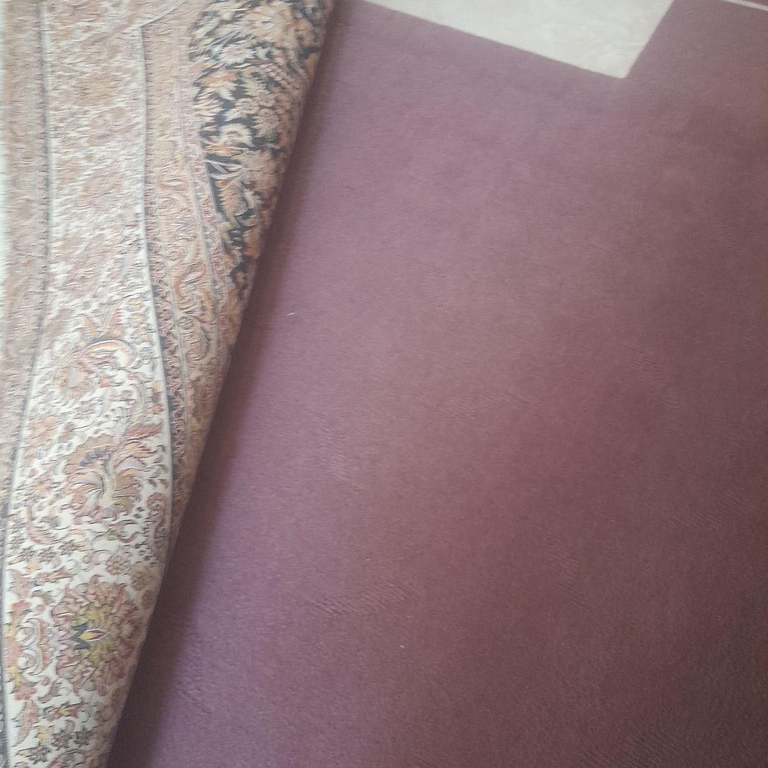 مکت رنگ بنفش تازه بک ماه خریدم فقط زیزفرش بود|موکت|چهاردانگه (تهران), |دیوار