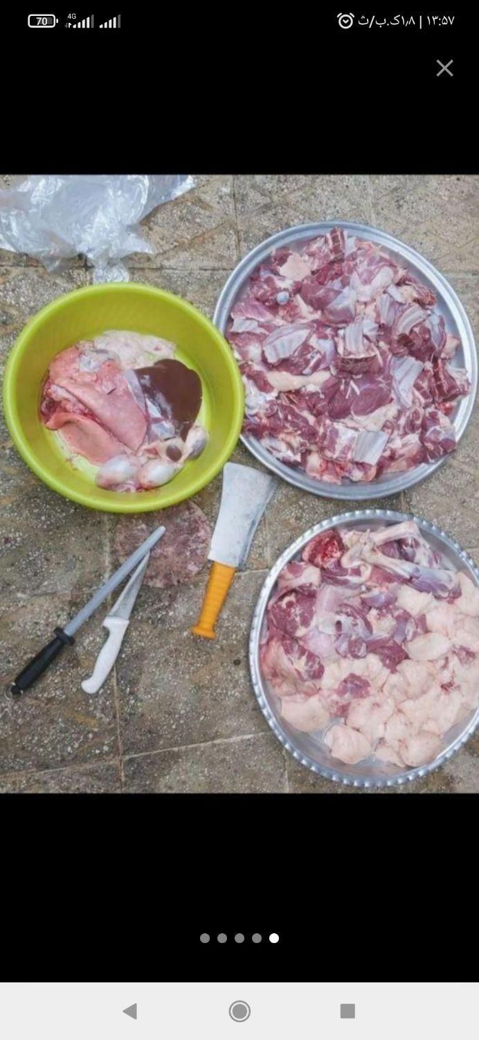 گوسفند زنده شهریار اندیشه و کل کرج باقصاب|حیوانات مزرعه|اندیشه, اندیشه فاز ۱|دیوار