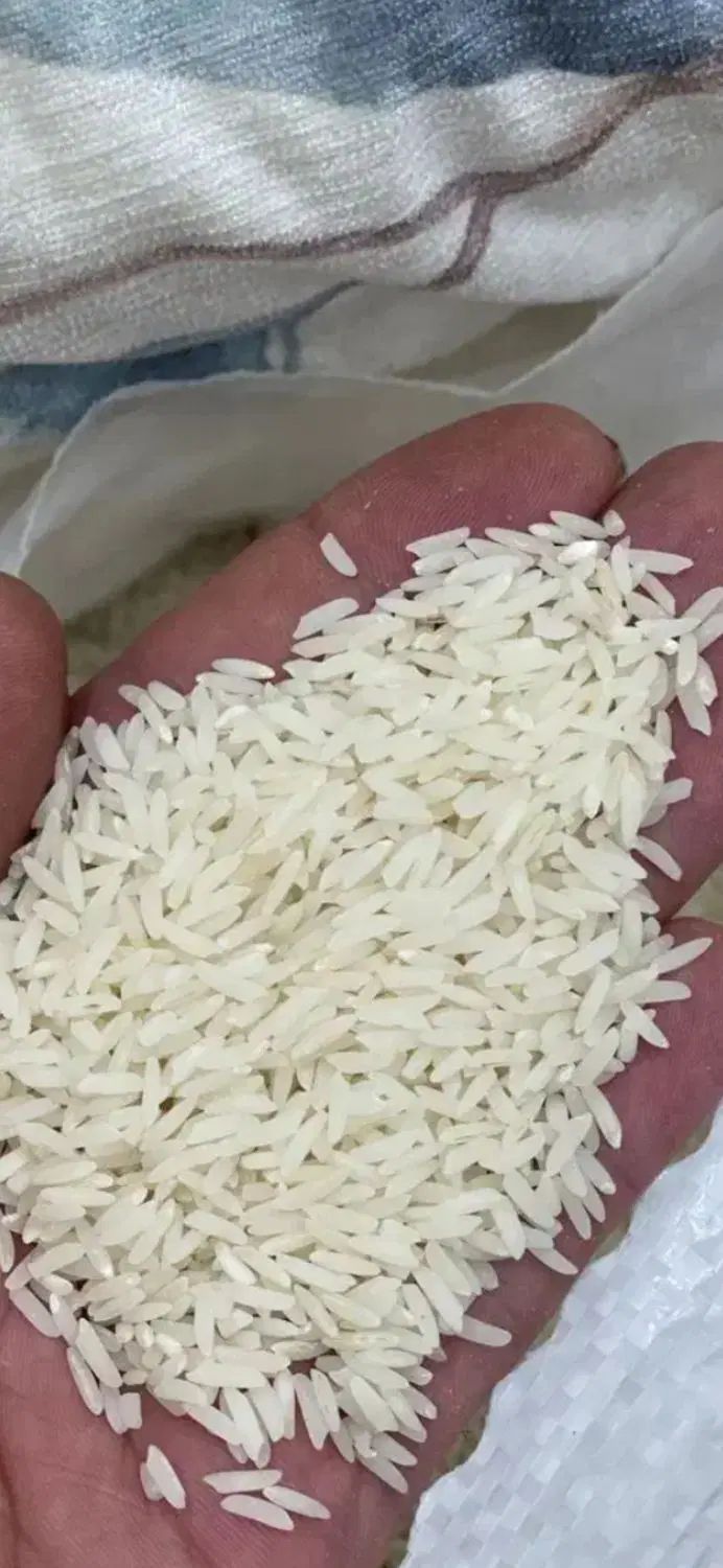 برنج هاشمی صدری درجه ۱|خوردنی و آشامیدنی|تهران, امانیه|دیوار