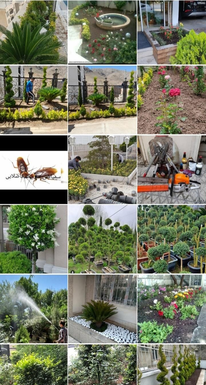 خدماتباغبانیوسمپاشیصفرتاصدبومهن پردیس مهراباد|خدمات باغبانی و درختکاری|رودهن, |دیوار
