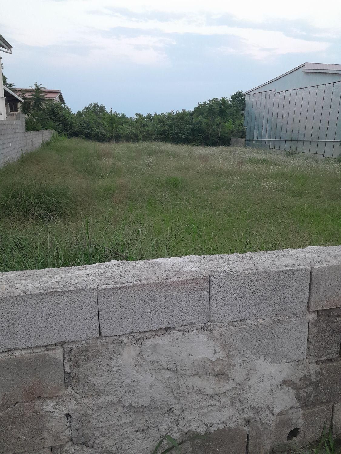 زمین مسکونی ،۸۳۳ مترمربع ،لیسار|فروش زمین و ملک کلنگی|لیسار, |دیوار