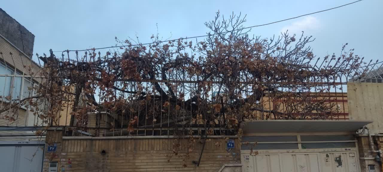 ۸۵متر ویلایی/سنددار خ رضاییان درب حیاط ماشین رو|فروش خانه و ویلا|اصفهان, عطار نیشابوری|دیوار