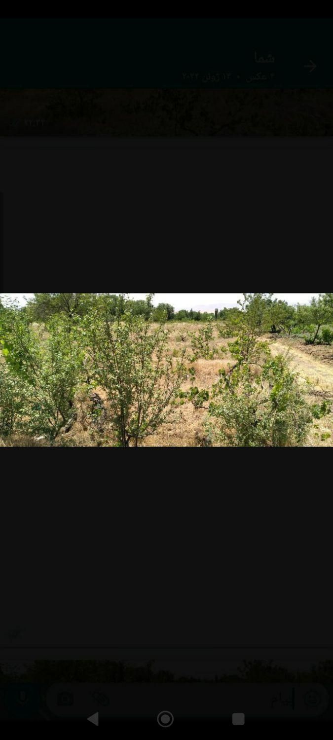 فوری، زمین فروشی به صورت تیکه ای هم ۱۲۰۰متر فروخته|فروش دفتر صنعتی، کشاورزی، تجاری|ابهر, |دیوار