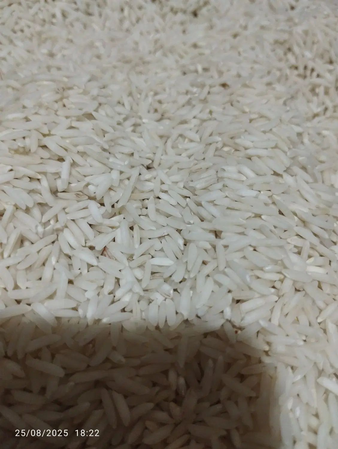 70کیلو برنج هاشمی|خوردنی و آشامیدنی|رشت, معلولین|دیوار