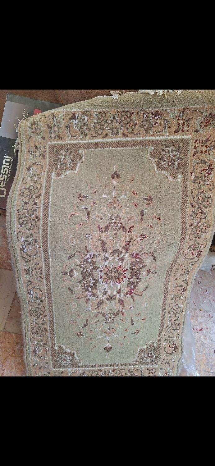 پادری فرشی|پادری|کرمان, |دیوار