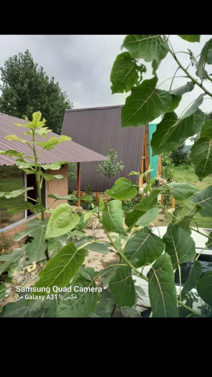 اجاره روزانه/هفتگی/کلبهای جنگلی لب رودخونه ۴۵ متری|اجارهٔ کوتاه‌مدت آپارتمان و سوئیت|بابل, |دیوار