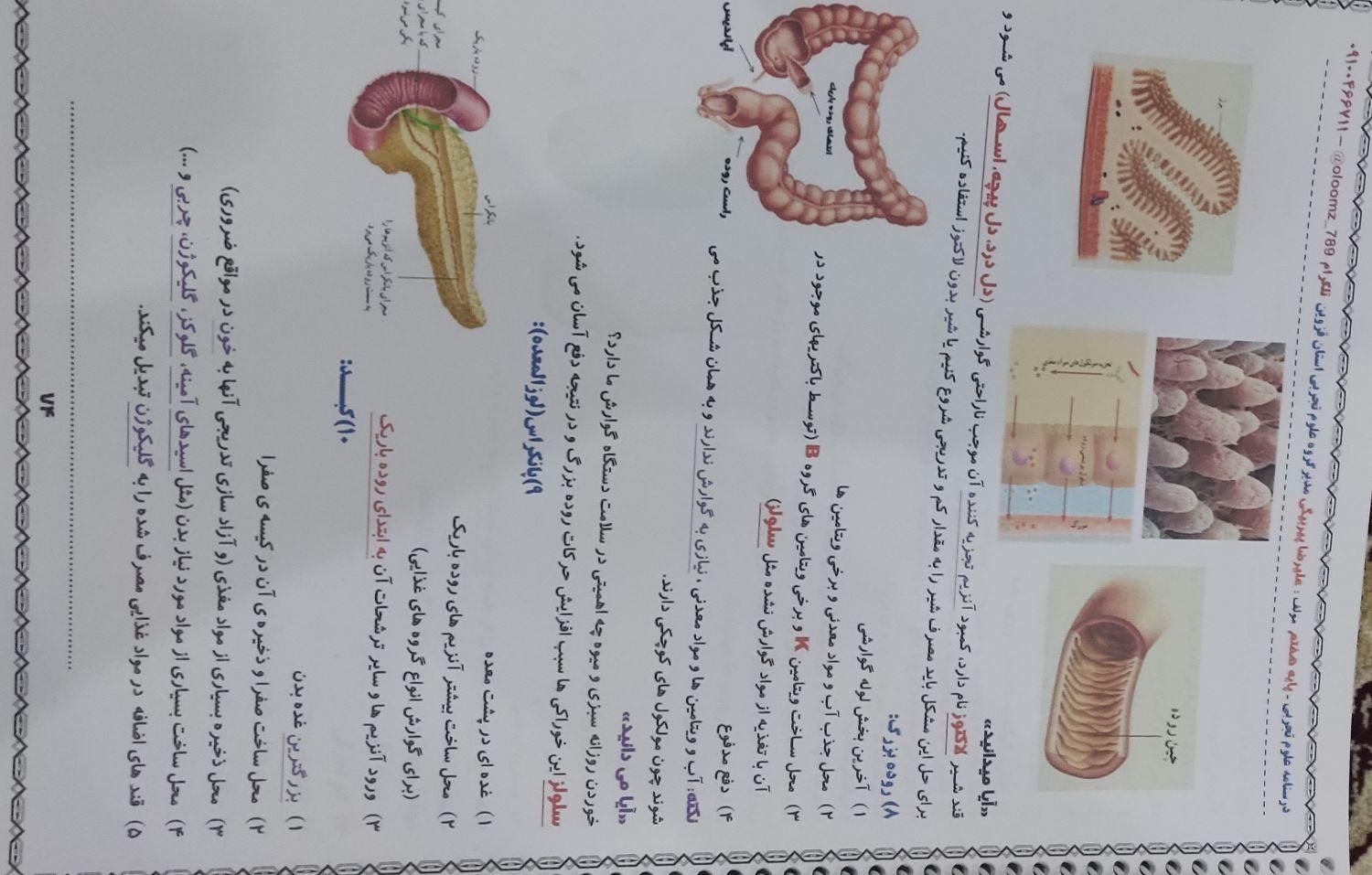 جزوه ریاضی و علوم|کتاب و مجله آموزشی|شیروان (خراسان), |دیوار