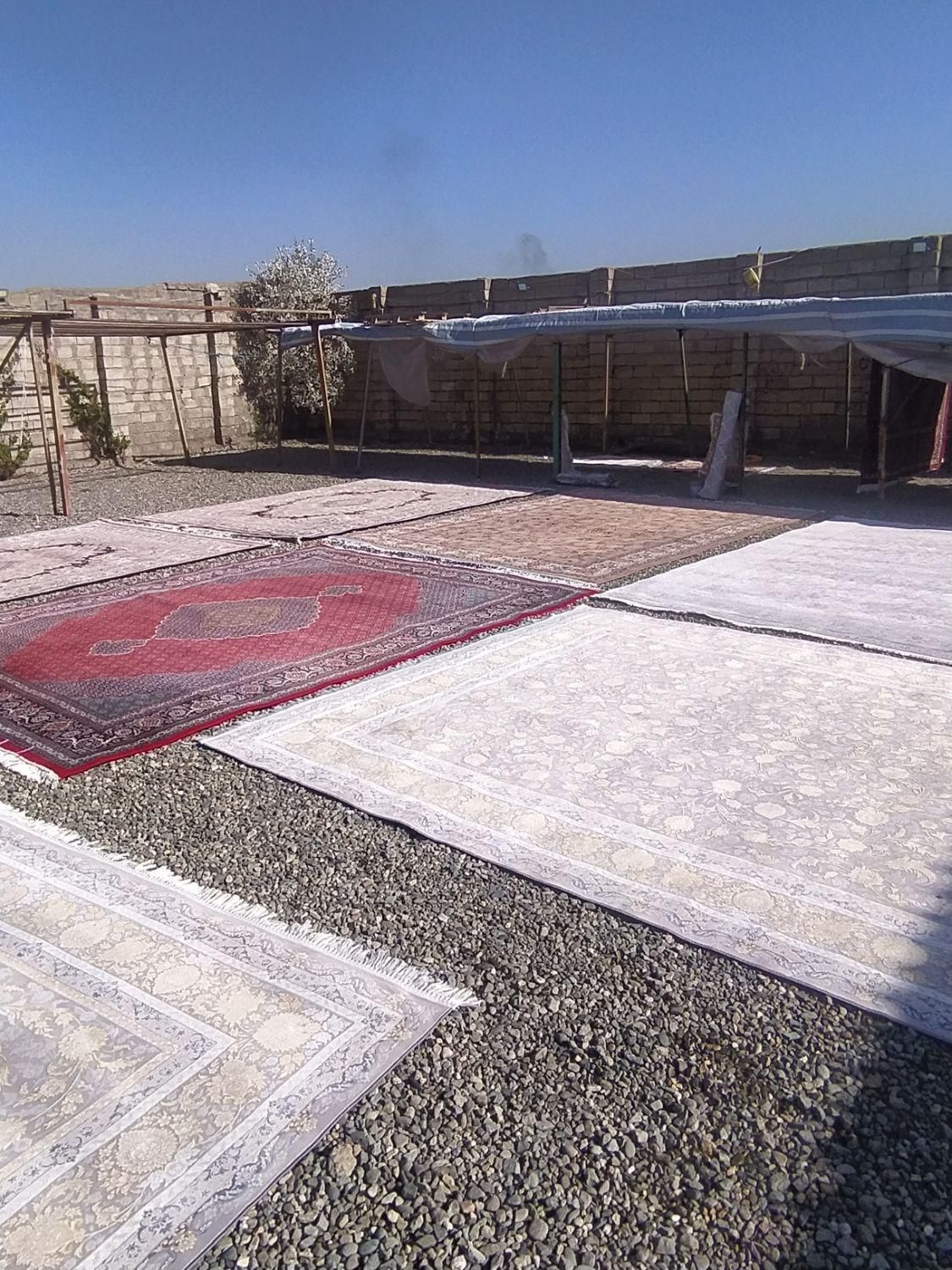 قالیشویی دستی ومبل شویی بیستون|خدمات نظافت|سقز, |دیوار