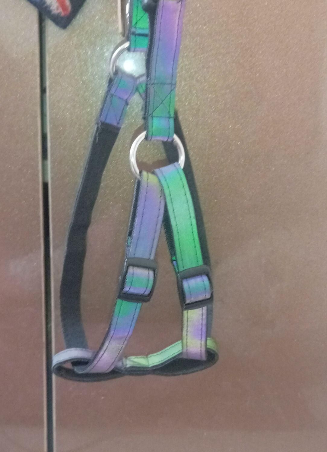 قلاده کتفی سگ|لوازم جانبی حیوانات|رشت, انصاری|دیوار