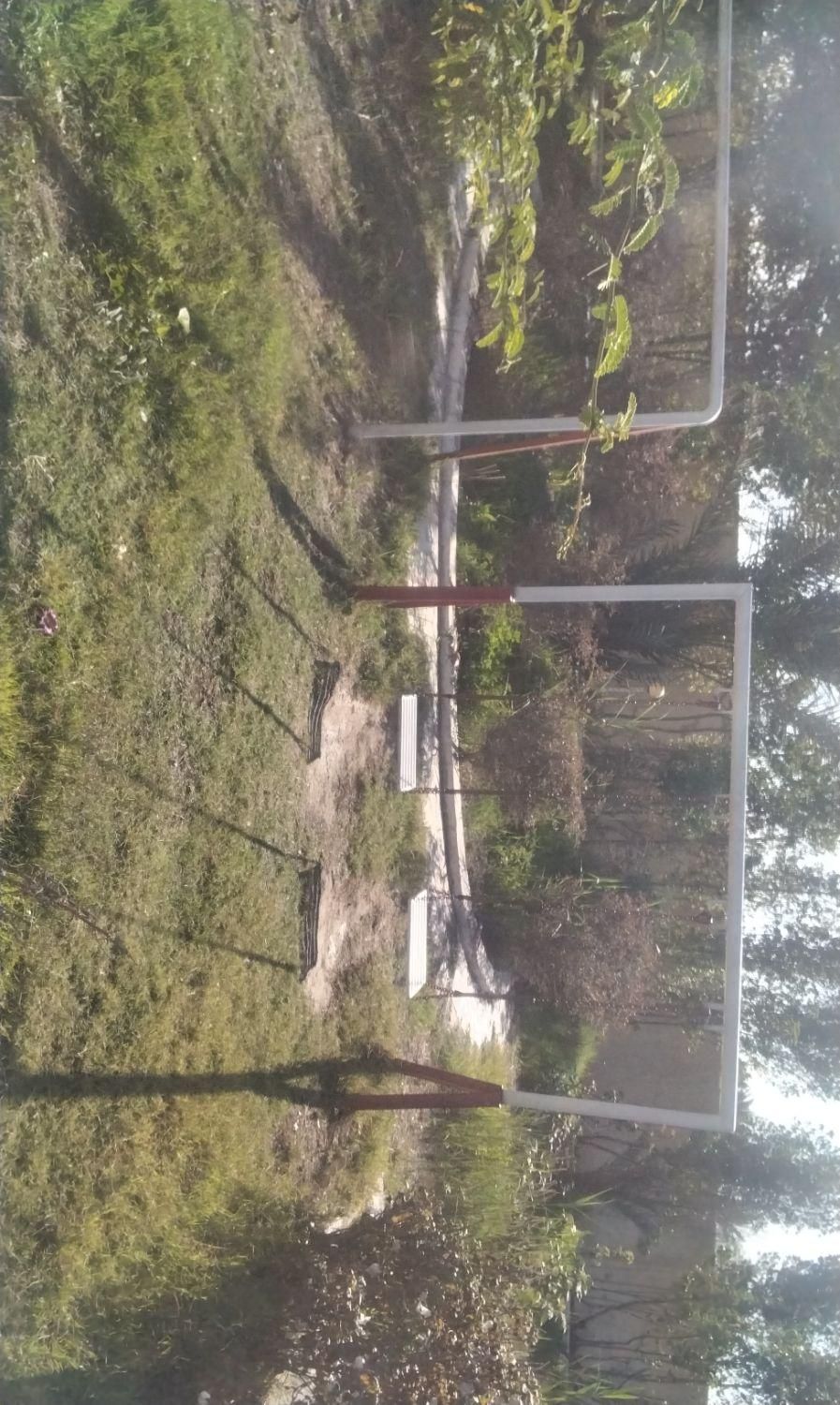 خرمشهر. محرزی نهر۱۰ باغ گل نرگس|اجارهٔ کوتاه‌مدت ویلا و باغ|خرمشهر, |دیوار