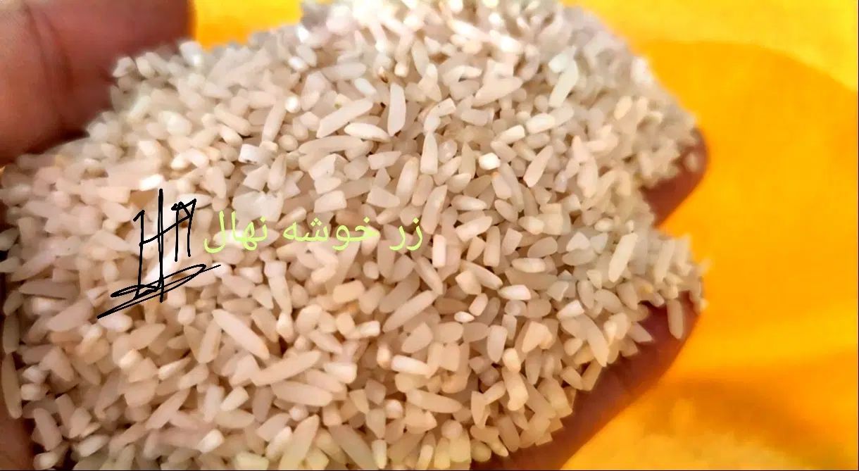 برنج طارم هاشمی اعلا از شالیزارهای شمال|خوردنی و آشامیدنی|رودهن, |دیوار