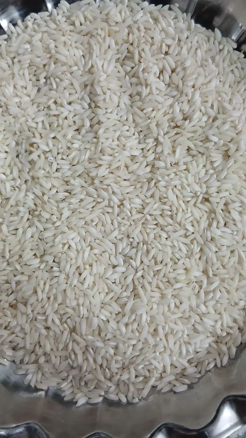 برنج شمال به اصطلاح محلی ما(قلوه)به قیمت مناسب|خوردنی و آشامیدنی|تهران, امیر بهادر|دیوار