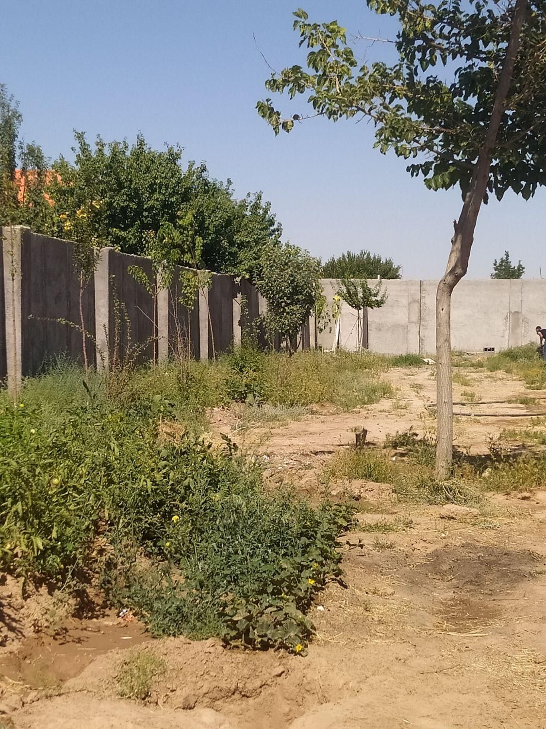 زمین باغ ویلا|فروش زمین و ملک کلنگی|مشهد, كنويست|دیوار