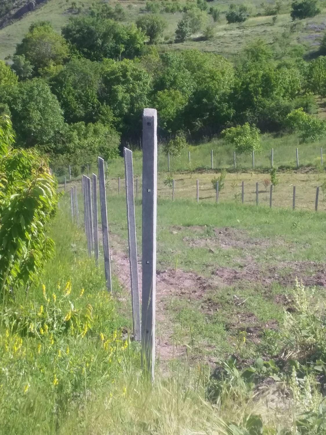 فنسکشی داربست باغ انگور و پایه فنس بتنی تیرچه باغی|حراج|تاکستان, |دیوار