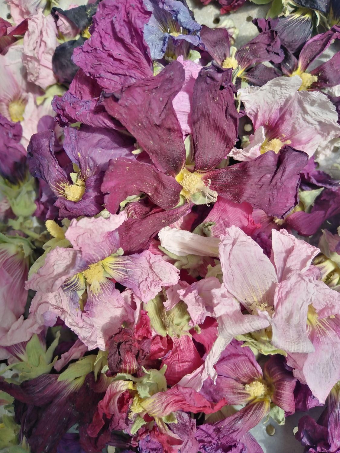 گل ختمی و پونه کوهی|خوردنی و آشامیدنی|کر, |دیوار