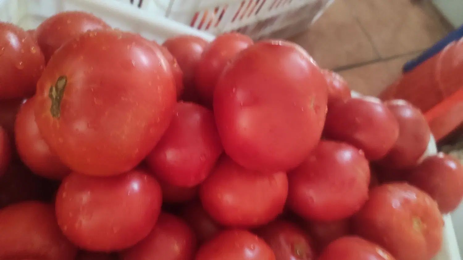 رب گوجه|خوردنی و آشامیدنی|کرج, شهرک اوج|دیوار