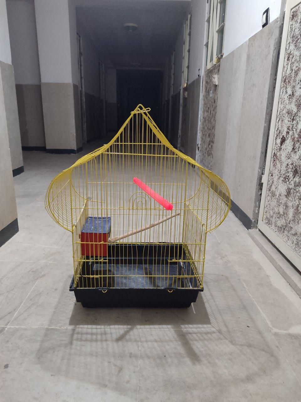 قفس|لوازم جانبی حیوانات|اردبیل, |دیوار