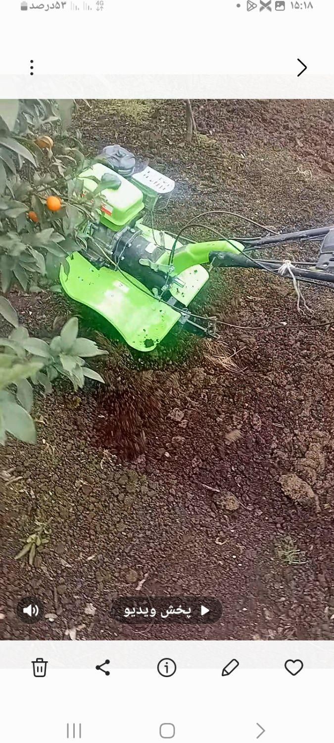 خدمات باغی صفرتاصد باتحصیلات عالی دراین زمینه|خدمات باغبانی و درختکاری|آمل, |دیوار