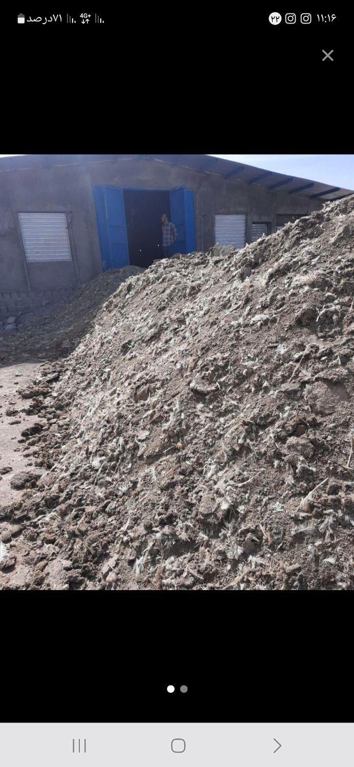 خرید و فروش کود مرغی|خدمات باغبانی و درختکاری|دزفول, |دیوار