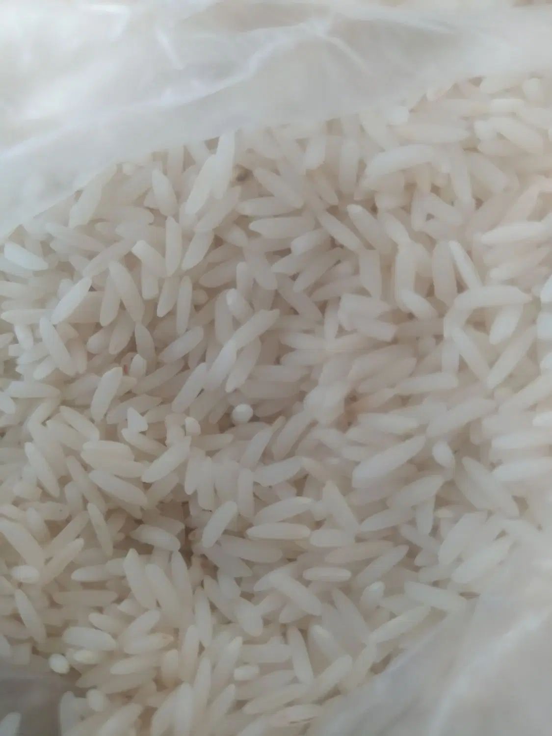 برنج طارم محلی فریدونکنار درجه ۱ ارگانیک|خوردنی و آشامیدنی|فریدون‌کنار, |دیوار