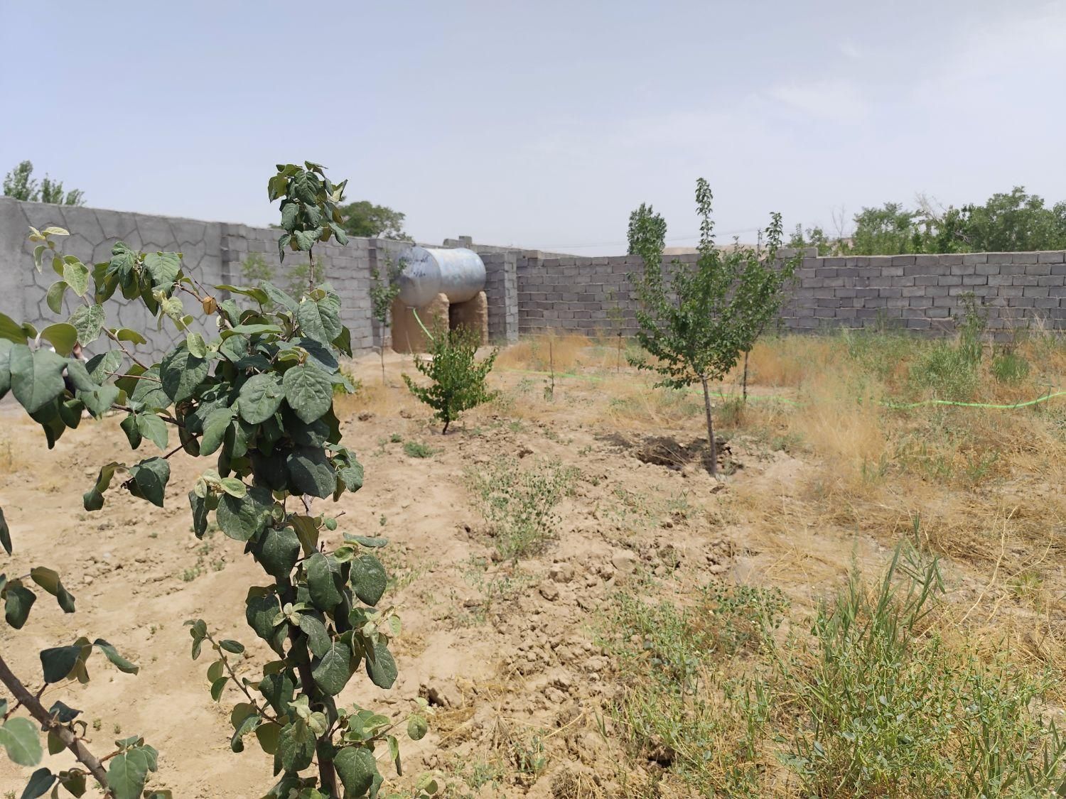 زمین باغ|فروش خانه و ویلا|مشهد, مقصود آباد|دیوار