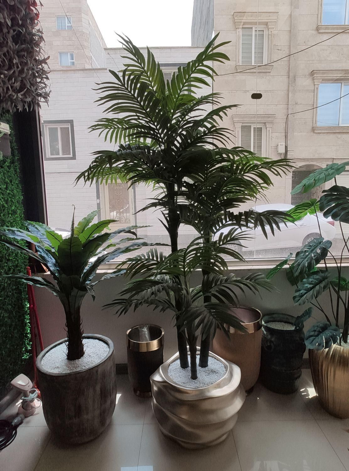 درختچه مصنوعی فروش با چک کارمندی|گل مصنوعی|اردبیل, |دیوار