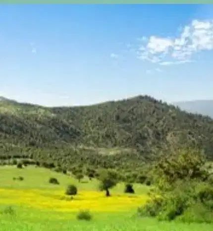 طبیعت گردی به رودبار|تور و چارتر|تهران, شهرک آپادانا|دیوار