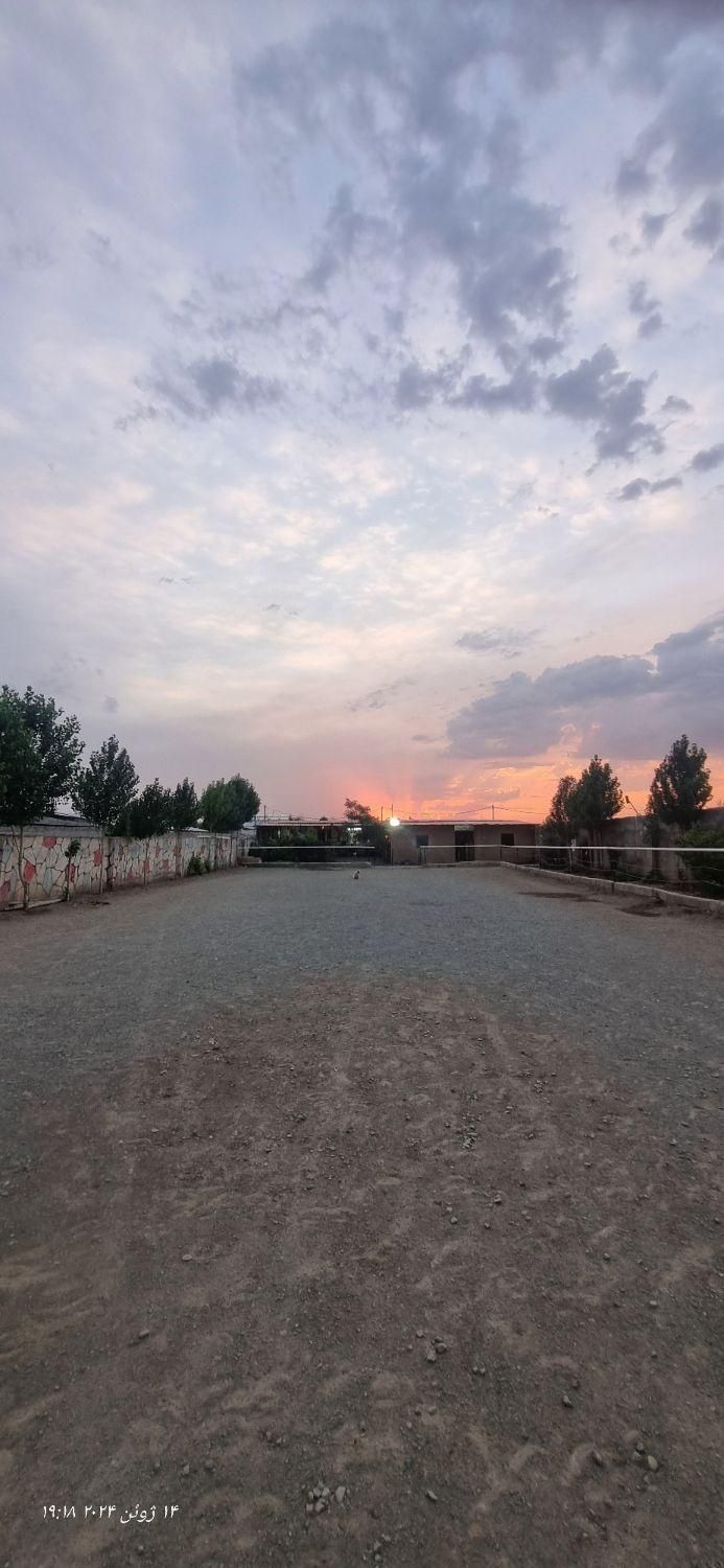 اسب ،باشگاه سوارکاری نعل،|اسب و تجهیزات اسب‌سواری|کرج, کمال‌شهر|دیوار