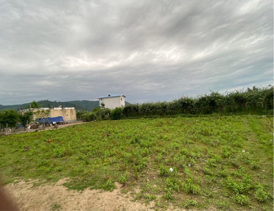 فروش زمین ویلایی|فروش زمین و ملک کلنگی|حویق, |دیوار