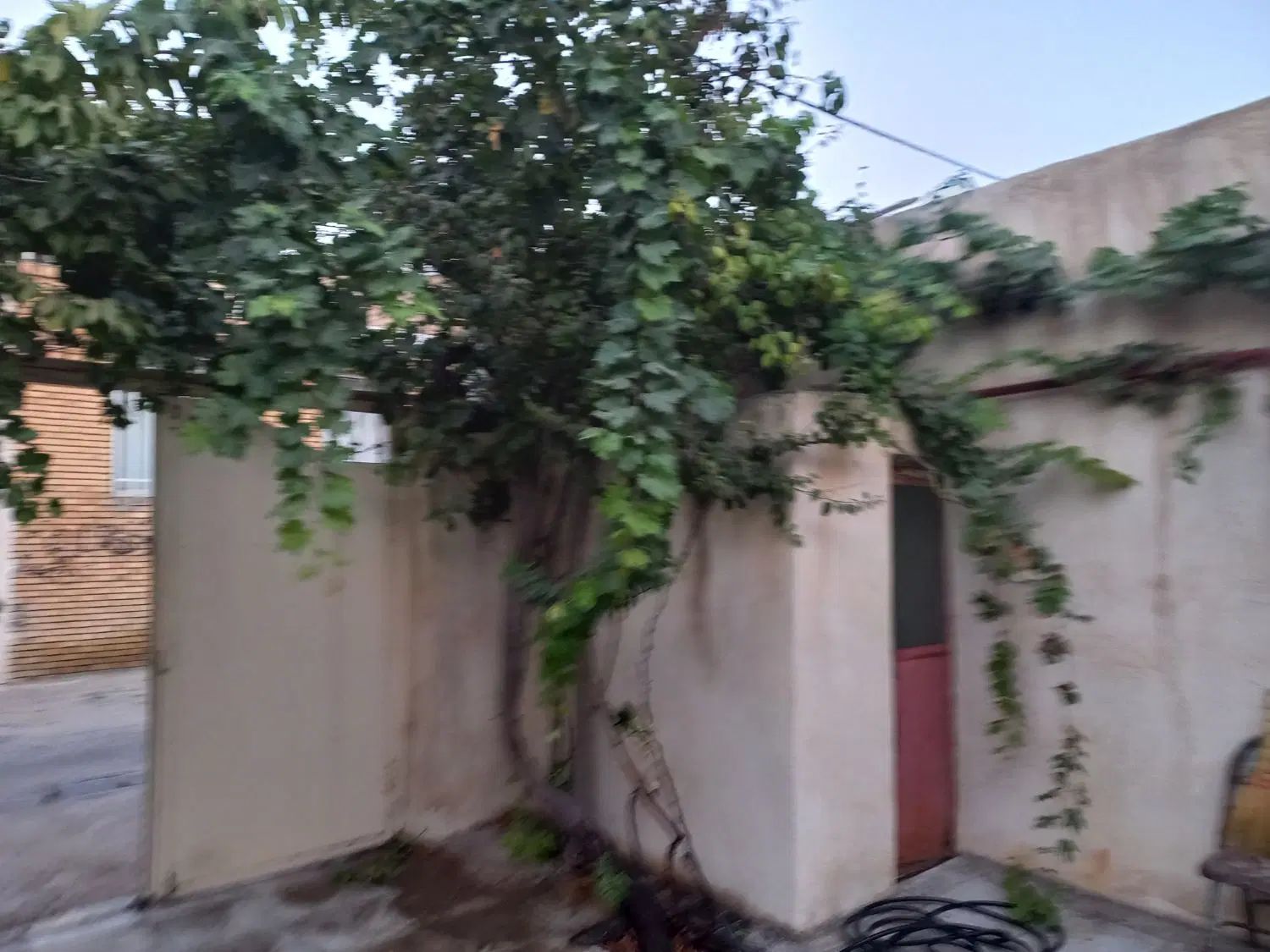 اجاره روزانه/هفتگی/ماهانه آپارتمان ۱۵۰ متری|اجارهٔ کوتاه‌مدت آپارتمان و سوئیت|بجنورد, |دیوار