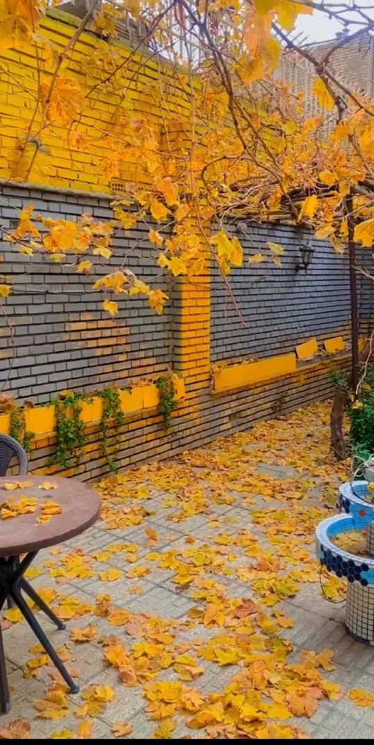 اجاره لاین درسالن زیبایی شلوغ و‌پرمشتری|خدمات آرایشگری و زیبایی|مشهد, صیاد شیرازی|دیوار