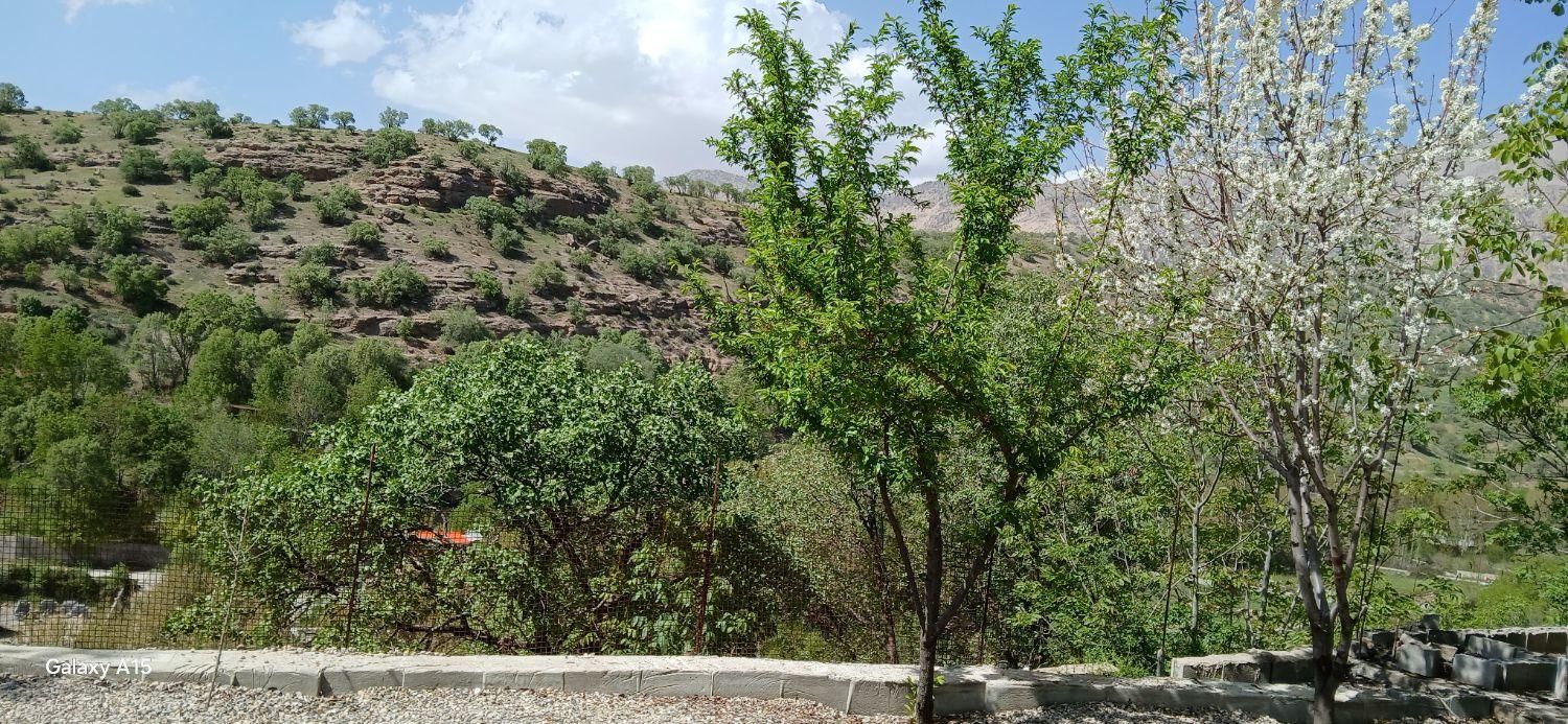 اجاره کوتاه مدت خانه ویلایی مستقل|اجارهٔ کوتاه‌مدت ویلا و باغ|یاسوج, |دیوار