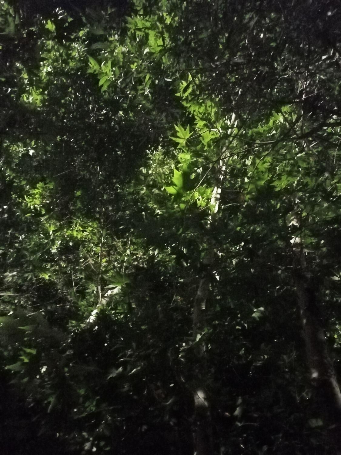 خوابگاه دخترانه یکتا (پانسیون)|اجارهٔ کوتاه‌مدت آپارتمان و سوئیت|شیراز, سایت اداری|دیوار