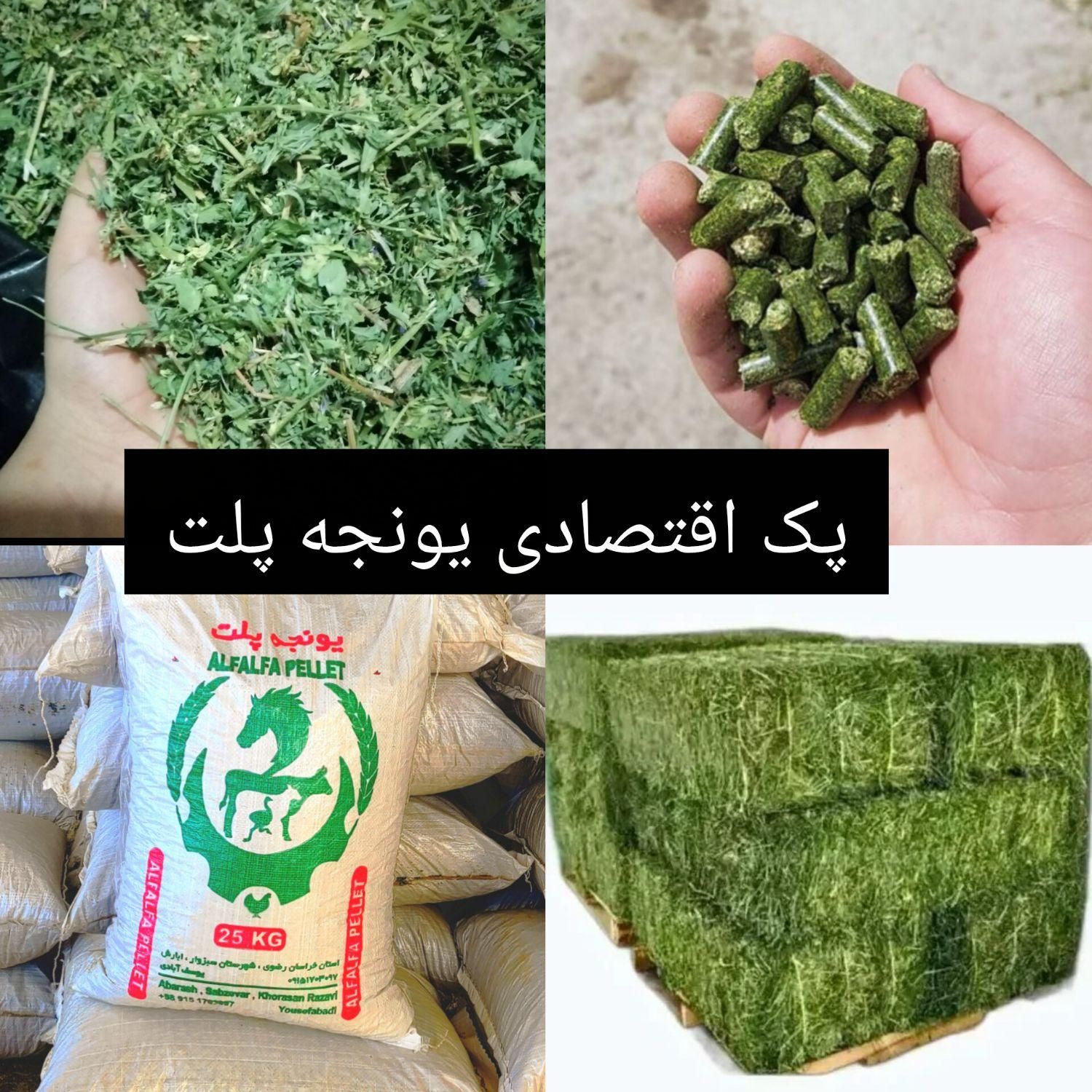 ذرت علوفه ای پر دانه و یونجه پلت|لوازم جانبی حیوانات|سبزوار, ابارش|دیوار