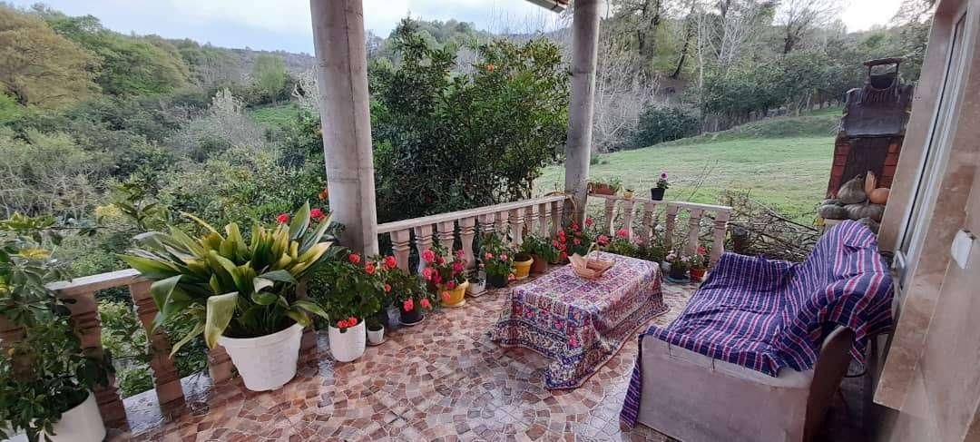 کلبه تریبلکس سوادکوه 7147|اجارهٔ کوتاهمدت آپارتمان و سوئیت|فیروزکوه, |دیوار