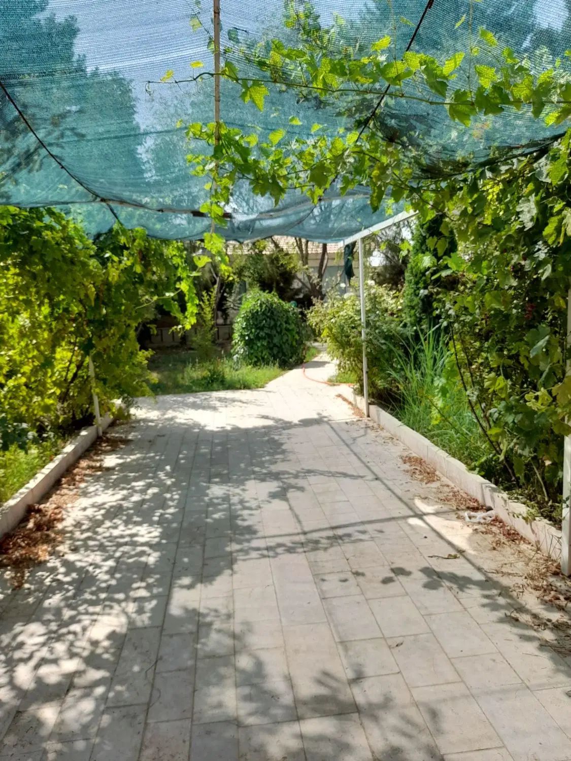 اجاره منزل دربست.باغ .سویت از یک م به بالا|اجارهٔ کوتاه‌مدت آپارتمان و سوئیت|مشهد, حسابی جنوبی (شهرک غرب)|دیوار