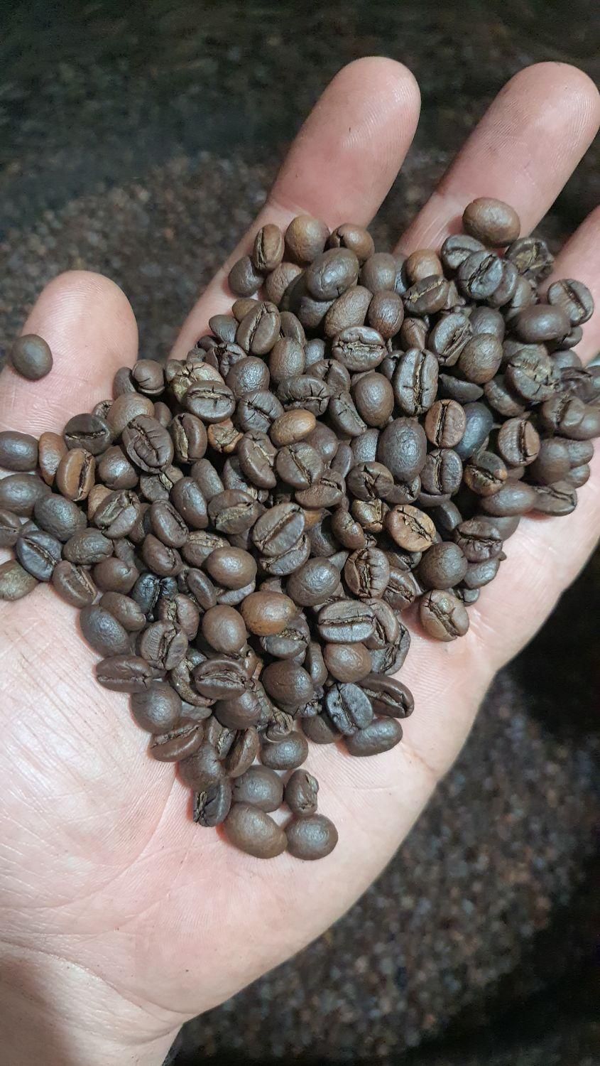 قهوه ویتنام|عمده‌فروشی|لاهیجان, امیرشهید|دیوار