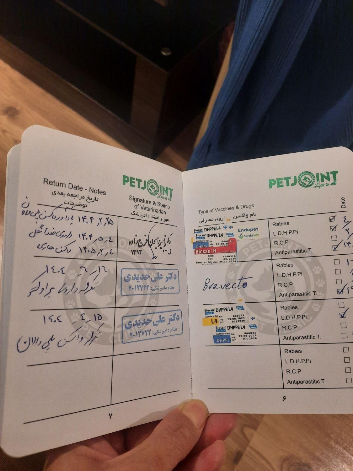 سگ با نژاد چاوچاو بلک با کلیه لوازم|سگ|تهران, نارمک|دیوار