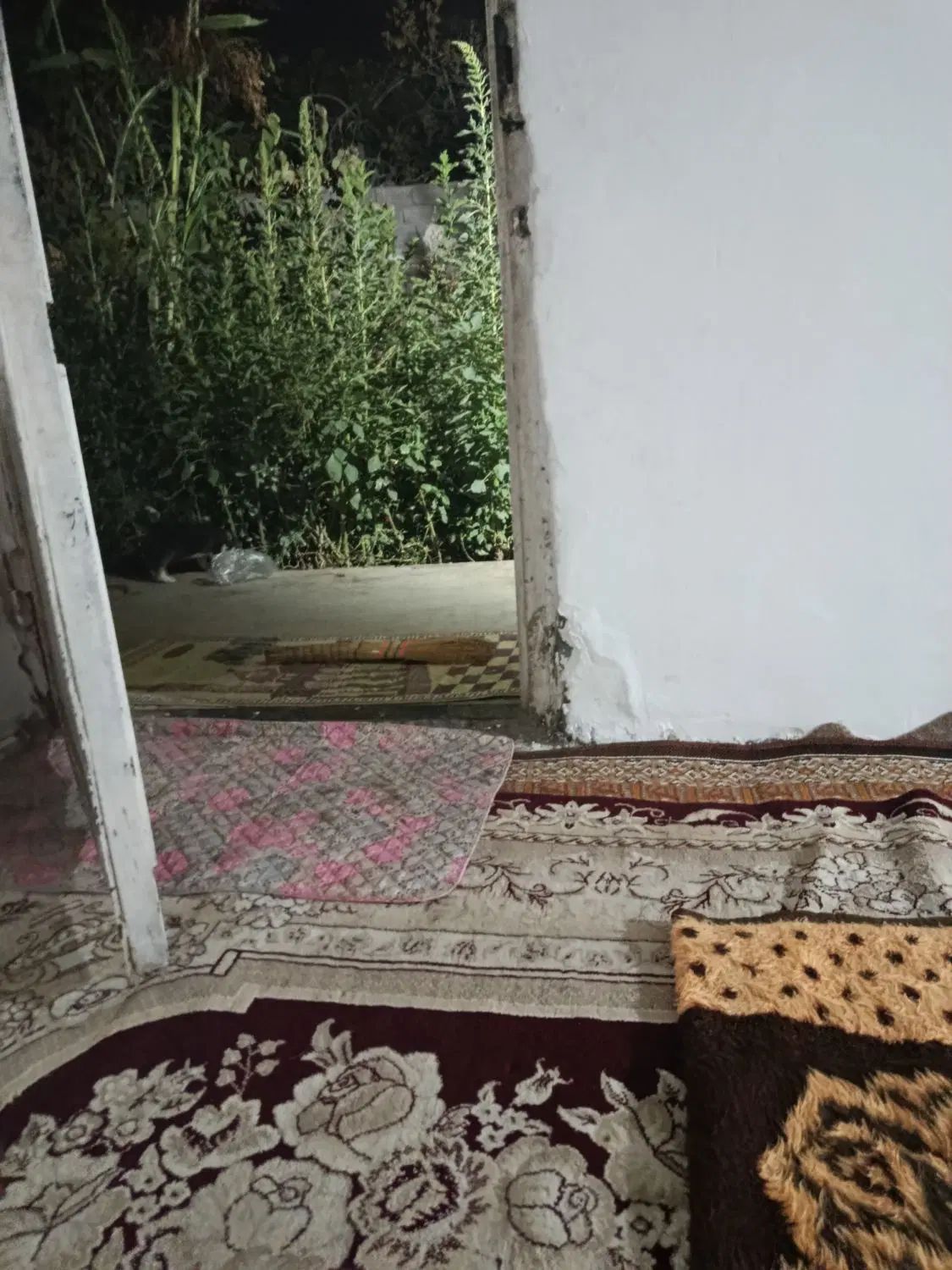 اجاره خانه ویلایی ۴۵ متری ۱ خوابه در شهران جنوبی|اجارهٔ خانه و ویلا|تهران, کن|دیوار