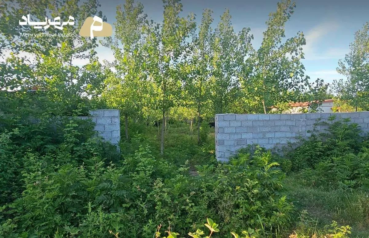 1300متر زمین مسکونی با سند قطعی در رشت چولاب|فروش زمین و ملک کلنگی|لولمان, |دیوار