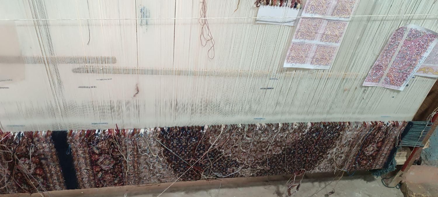 یک فرش دو در سه  جفت قالیچه به فروش می‌رسد|فرش|خوی, |دیوار