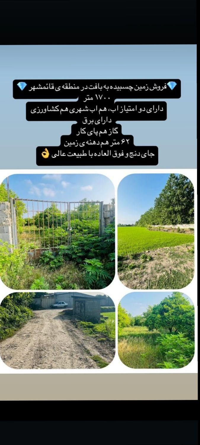 1700مترباغ دارای انشعابات بقیمت میدان امام|فروش زمین و ملک کلنگی|قائم‌شهر, |دیوار