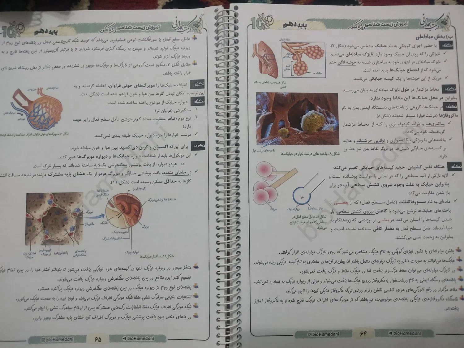 جزوه اصلی و جزوات نموداری استاد محمد همدانی|کتاب و مجله آموزشی|بناب, |دیوار