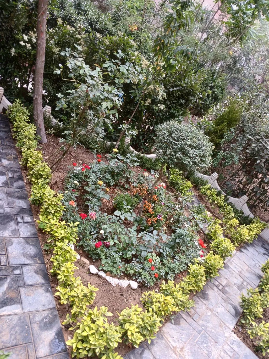 خدمات باغبانی باغچه کاری تعویض خاک باغچه|خدمات باغبانی و درختکاری|تهران, پونک|دیوار