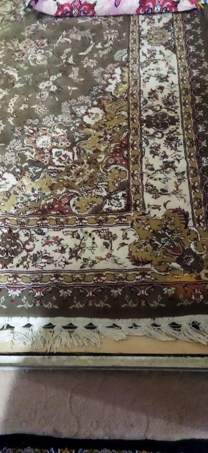 فرش دست دوم نو|فرش|آبسرد, |دیوار