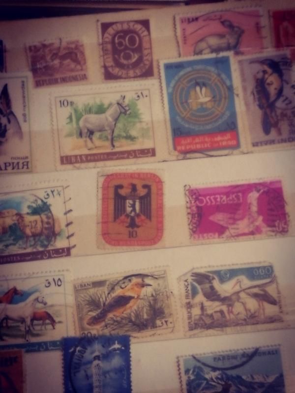 gدو البوم تمبرهای ایرانی خارجی|کلکسیون سکه، تمبر، اسکناس|تهران, سهروردی|دیوار