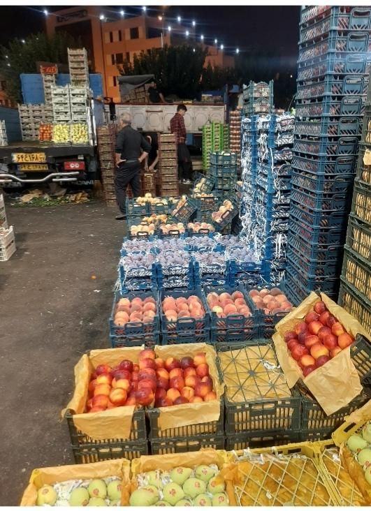 فروش عمده میوه درجه یک با قیمت مناسب|خوردنی و آشامیدنی|تهران, شهرک شریعتی|دیوار