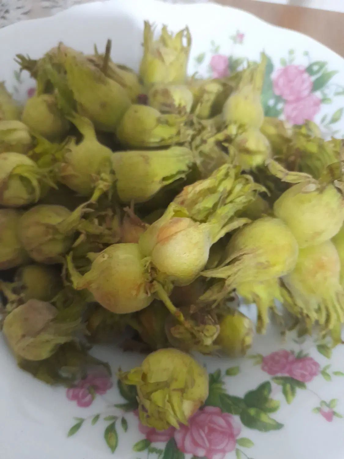 فندق به شرط میدم|خوردنی و آشامیدنی|کرج, گلشهر|دیوار