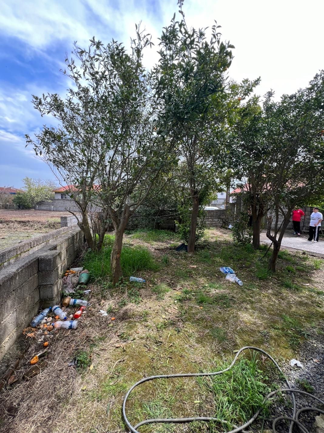 خونه باغ سنددار ۳۸۰ متری قابل سکونت/با ویو شالیزار|فروش زمین و ملک کلنگی|چاف و چمخاله, |دیوار